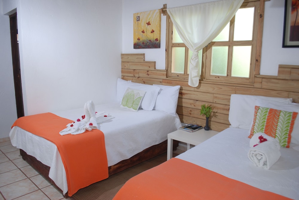 Standard Quadruple Room, 2 Double Beds photo 2