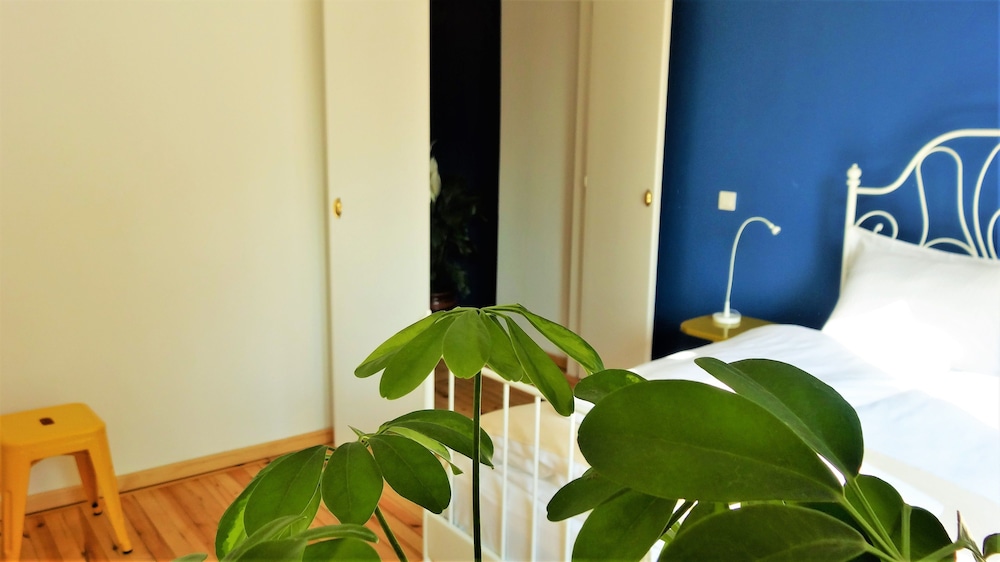 Apartment, 3 Bedrooms, Terrace photo 3
