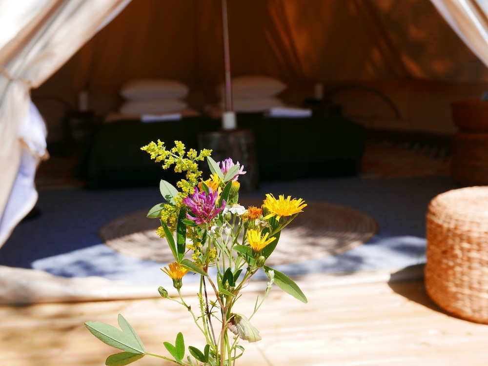 Tent - Photo 1