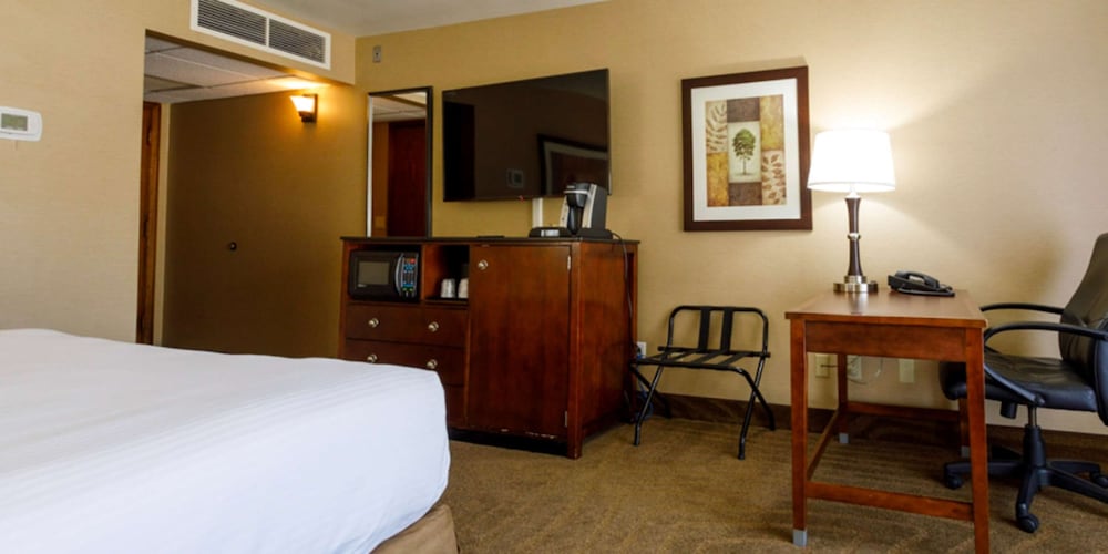 Premium Room, 1 King Bed photo 3