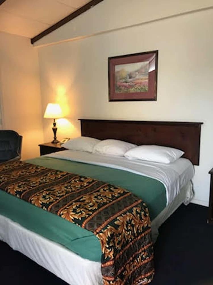 Premium Single Room, 1 King Bed photo 1