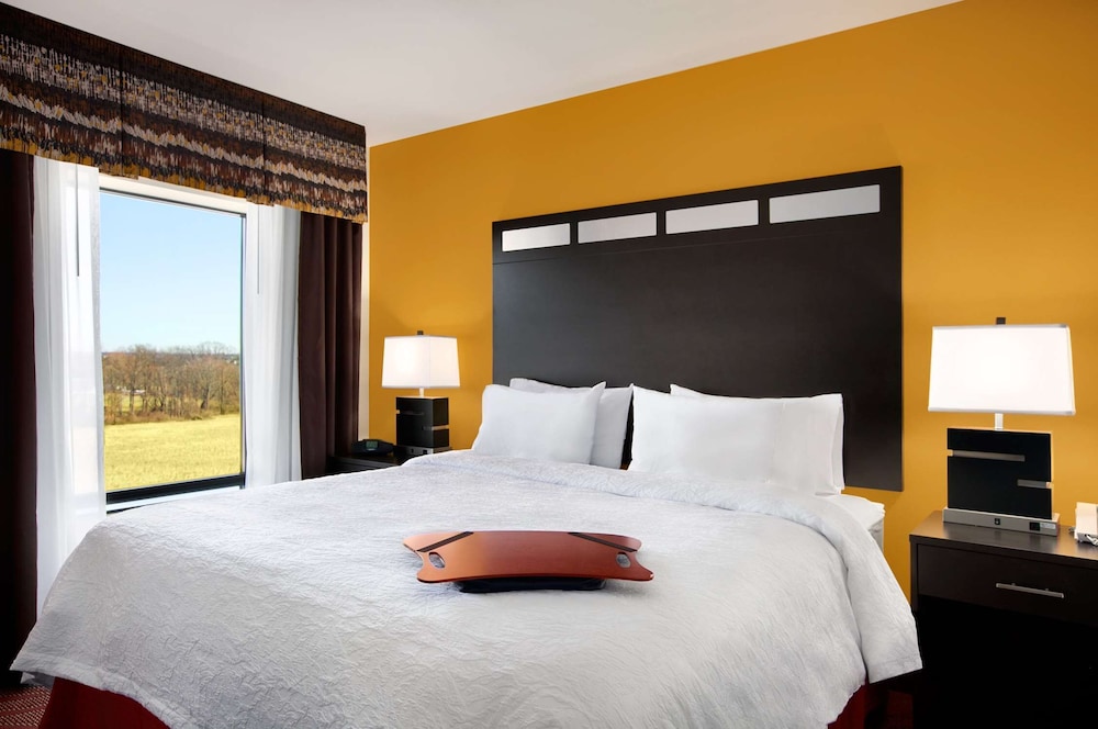 Studio, One King Bed