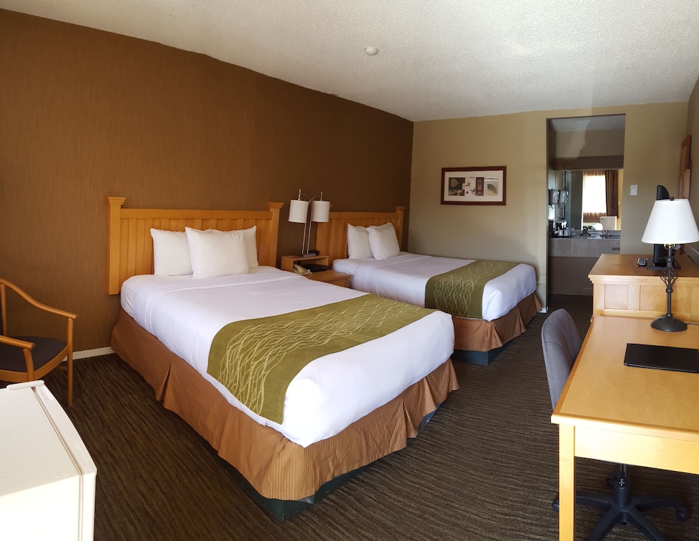 Deluxe Room, 2 Queen Beds, Non Smoking - Photo 2