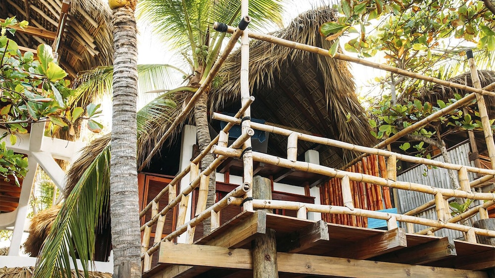 Palapa - Photo 9