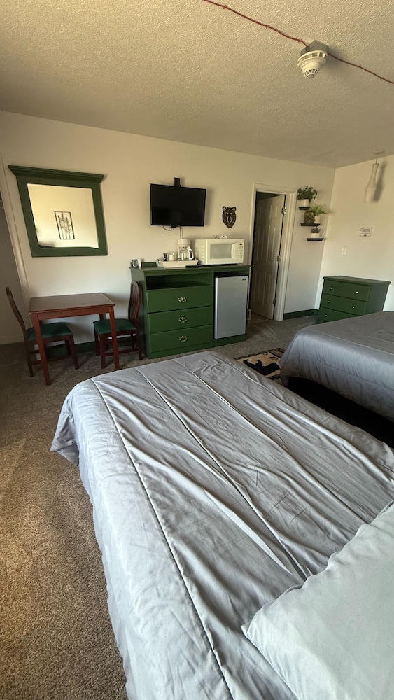 Deluxe Single Room photo 3