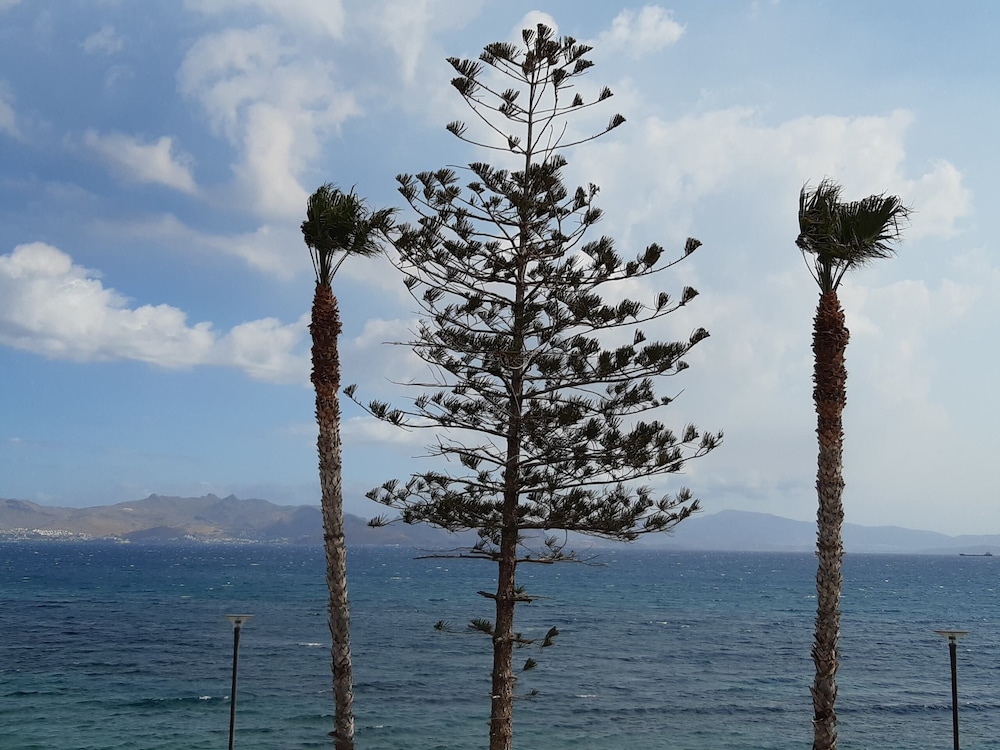 Panoramic Apartment, Sea View photo 1