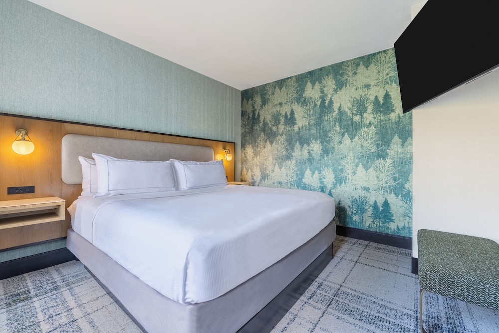 Junior Suite, 1 King Bed - Photo 6