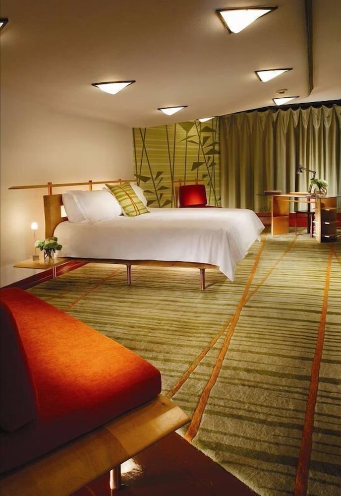 Junior Single Room photo 2