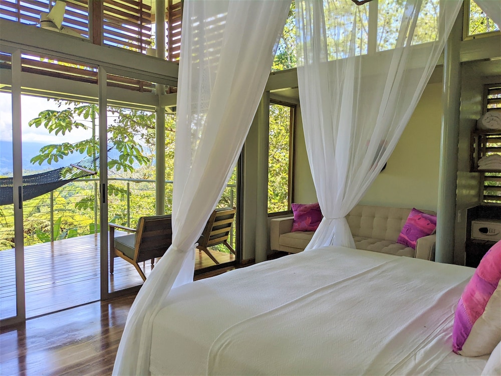 Canopy Suite photo 3