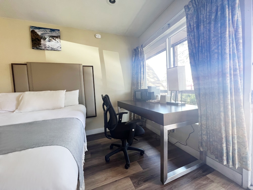 Deluxe Suite, Private Bathroom (2 Queen Studio) photo 3