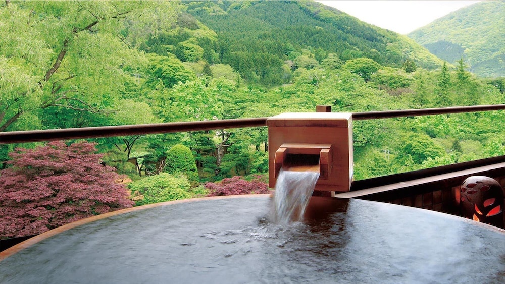 Japanese Style Twin Room with Hot Spring Bath, Non Smoking - 316 photo 3