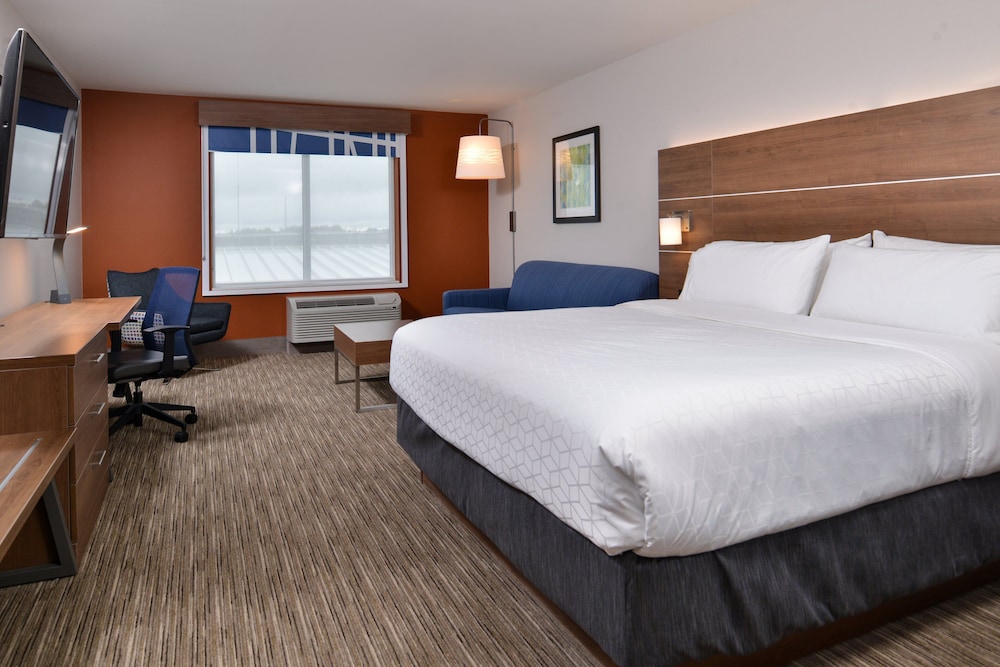 Suite, 1 King Bed photo 1