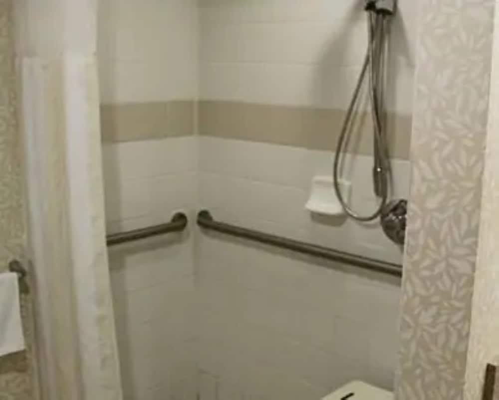 Standard Room, 1 King Bed, Accessible (Roll In Shower) - Photo 13