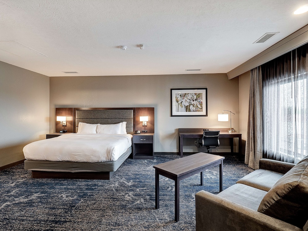 Junior Studio Suite, 1 King Bed, Non Smoking (Presidential) photo 1