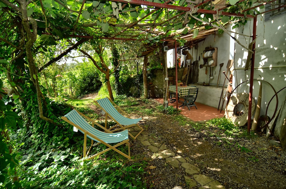 Studio, Vineyard View (Antica Bilancia) photo 2