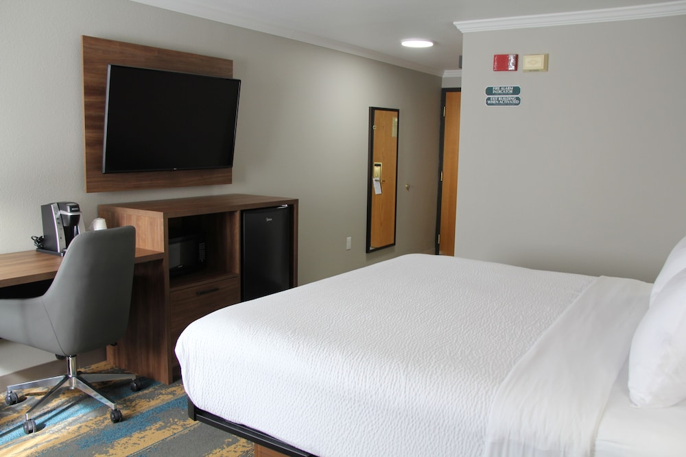 Room, 1 King Bed, Non Smoking - Photo 5