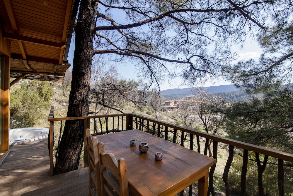 Comfort Tree House, Non Smoking, Mountain View photo 3