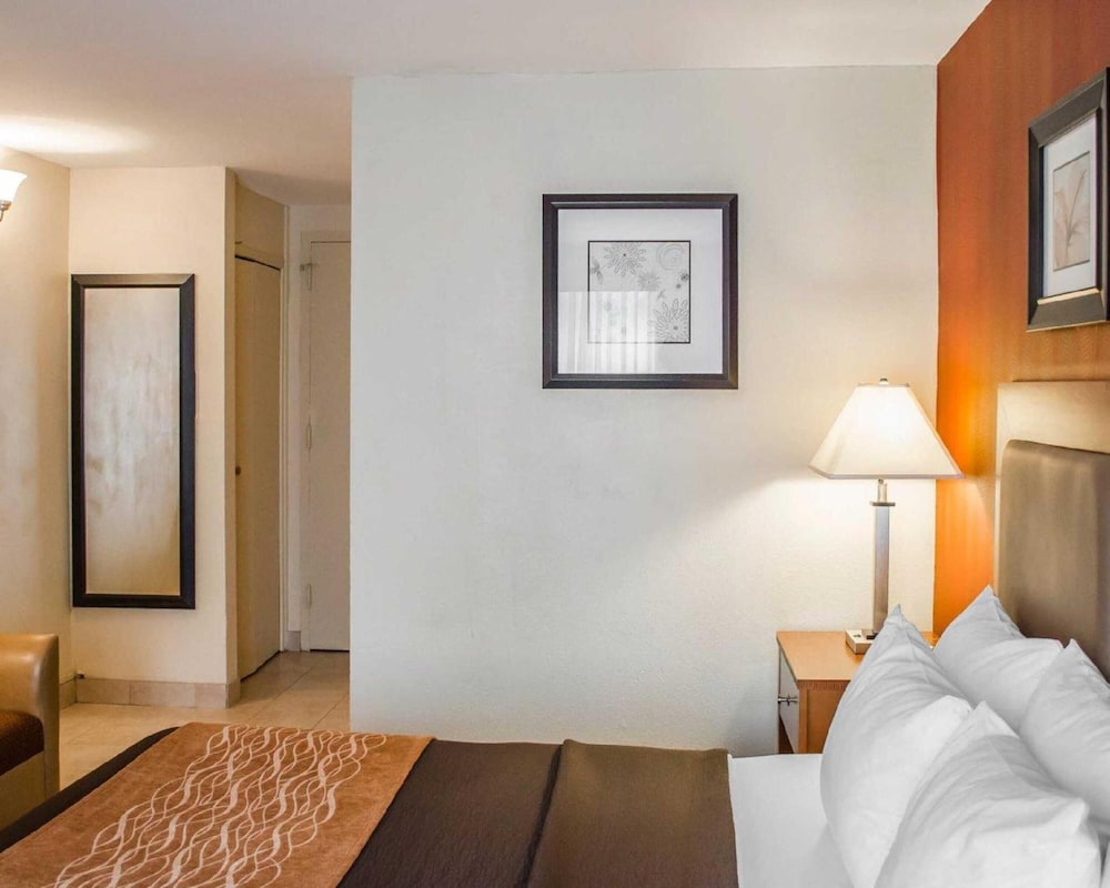 Standard Single Room photo 3