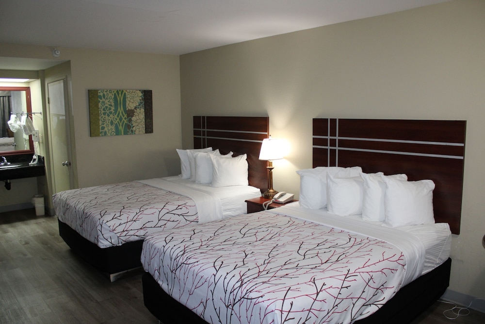 Family Suite photo 3