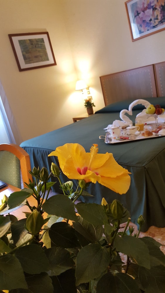 Double Room Single Use photo 2