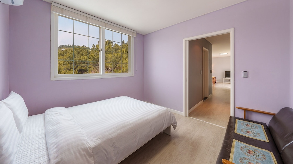 Basic Room, 1 Bedroom (room 306(no pet)) photo 3