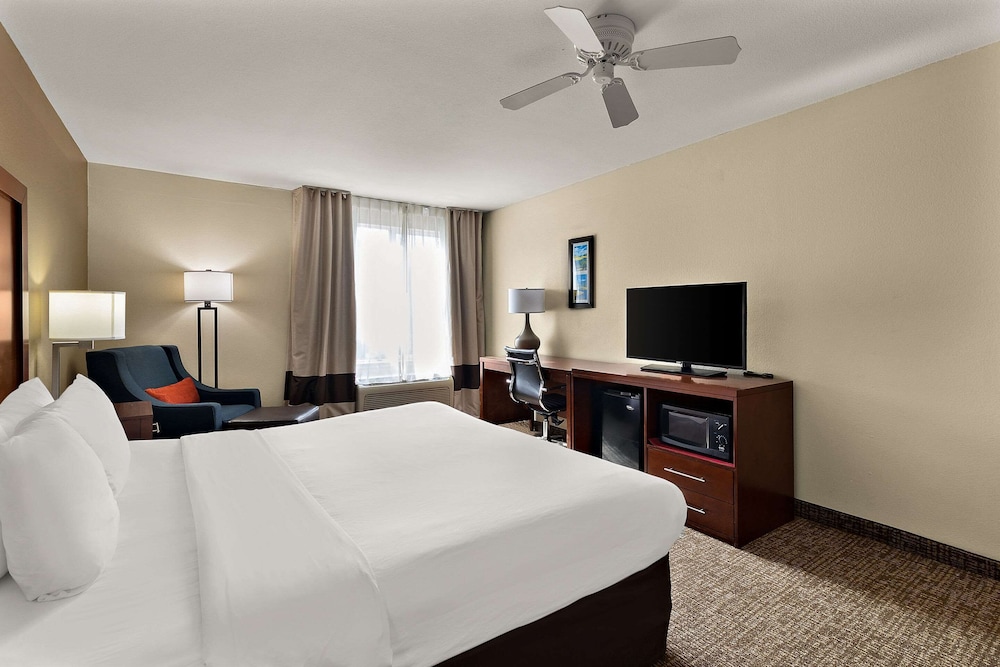 Deluxe Room, 1 King Bed, Non Smoking, Refrigerator & Microwave - Photo 3