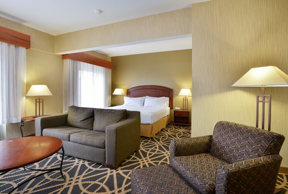Suite, 1 King Bed with Sofa bed