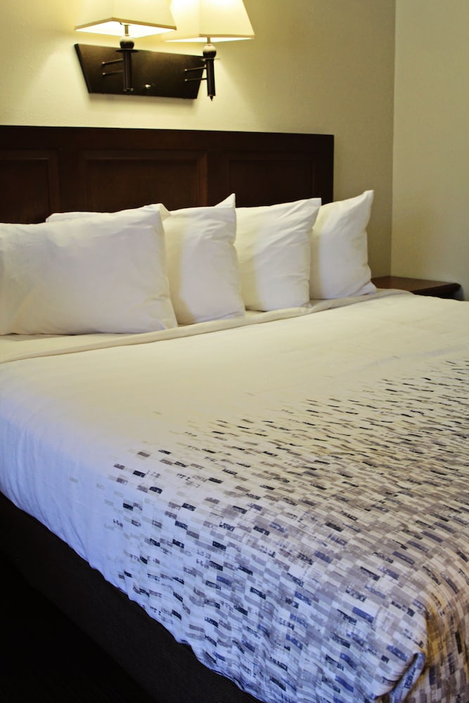 Deluxe Room, 1 King Bed photo 2