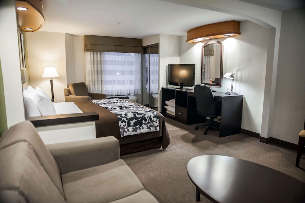 Suite, 1 King Bed with Sofa bed, Accessible, Non Smoking photo 3