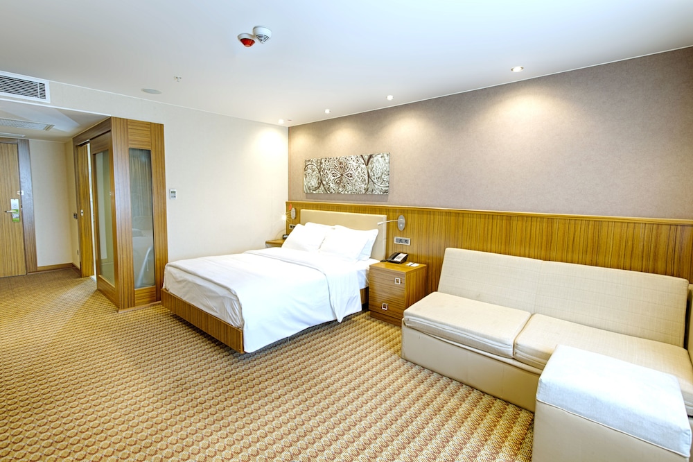 Room, 1 Queen Bed with Sofa bed, Accessible, Non Smoking photo 3
