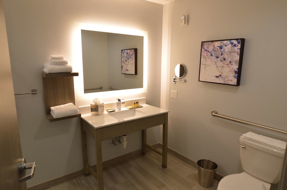 Suite, 1 King Bed, Accessible, Refrigerator & Microwave (Walk-in Shower;with Sofabed) - Photo 5