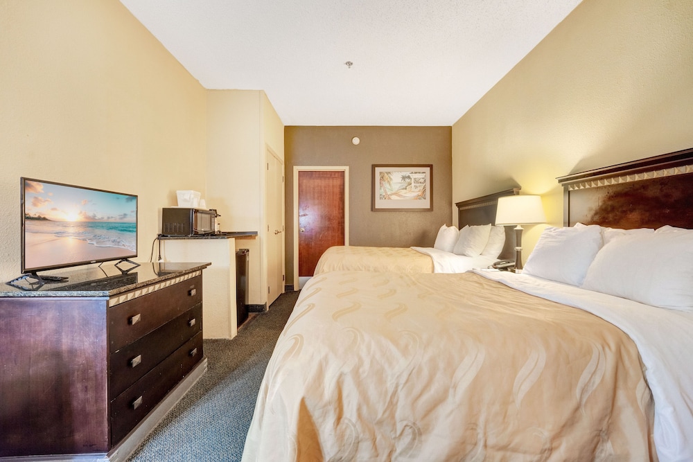 Studio Suite, 2 Double Beds