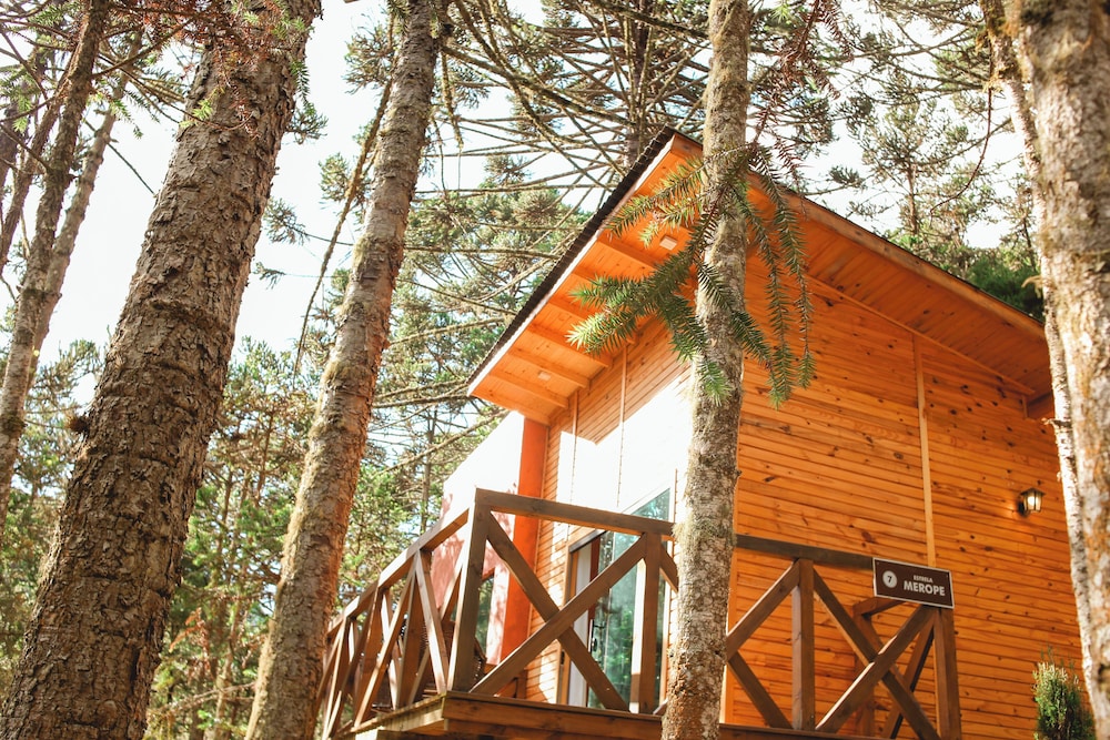 Chalet, Mountain View photo 2