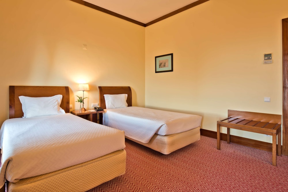 Superior Room, 2 Twin Beds, Balcony, Mountain View