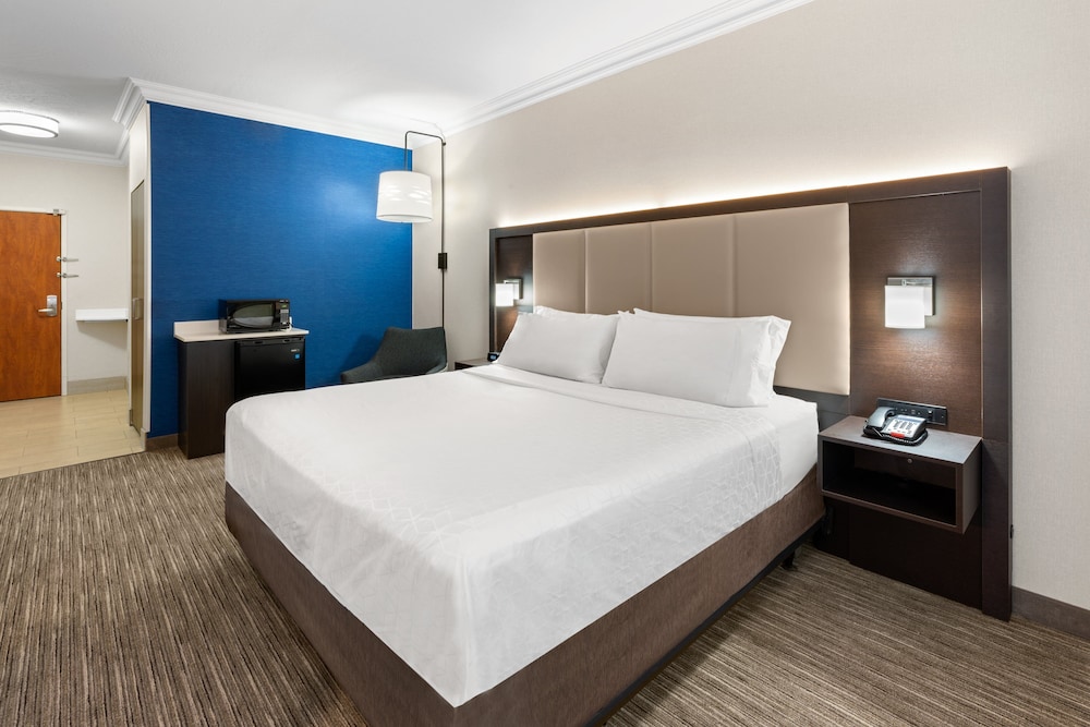 Standard Room, 1 King Bed, Roll-in Shower (Mobility) - Photo 3