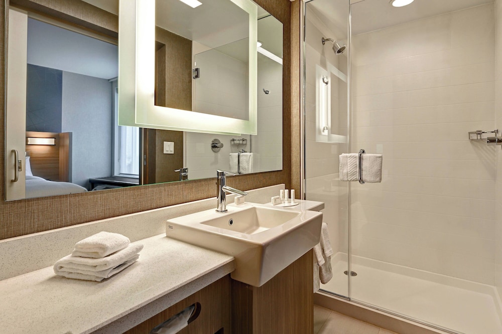 Suite, 1 King Bed - Photo 10
