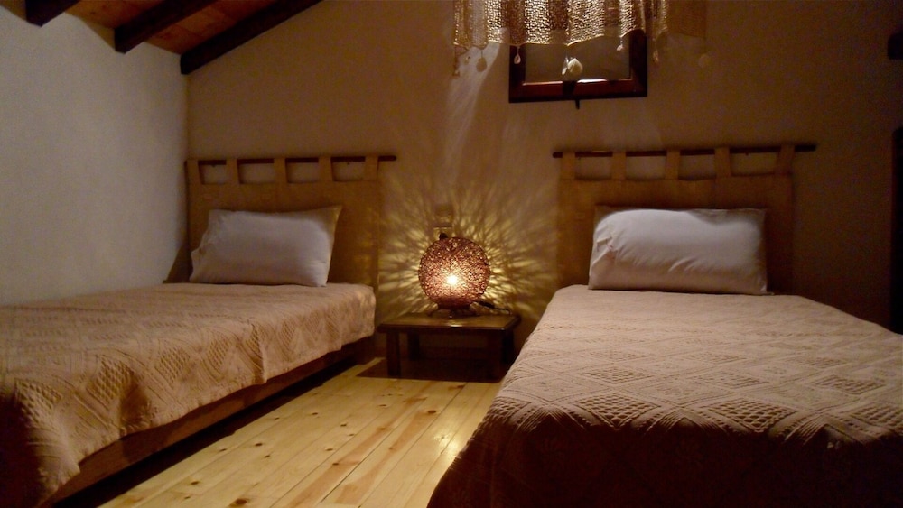 Basic House (Cactus) photo 1