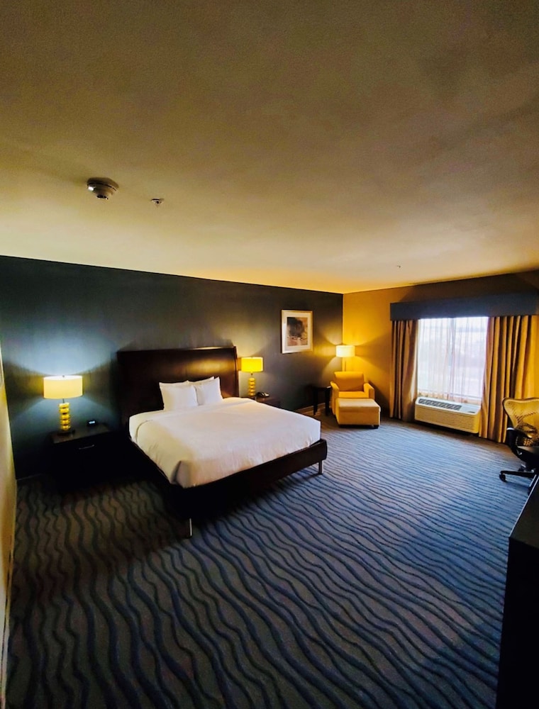 Room, 1 King Bed, Accessible (Roll-In Shower) - Photo 3