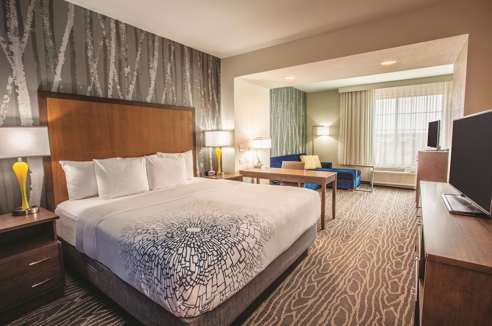 Deluxe Suite, 1 King Bed, Non Smoking photo 1