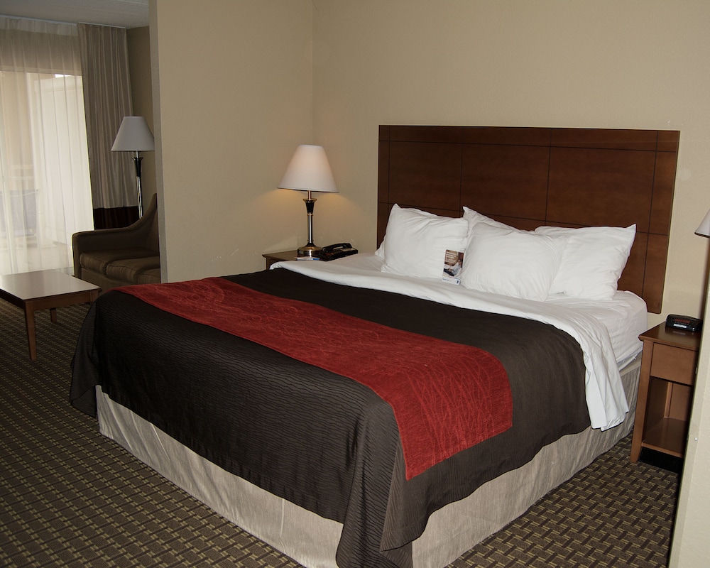 Suite, 1 King Bed with Sofa bed, Non Smoking - Photo 3