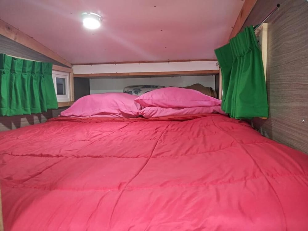 Economy Tent photo 3