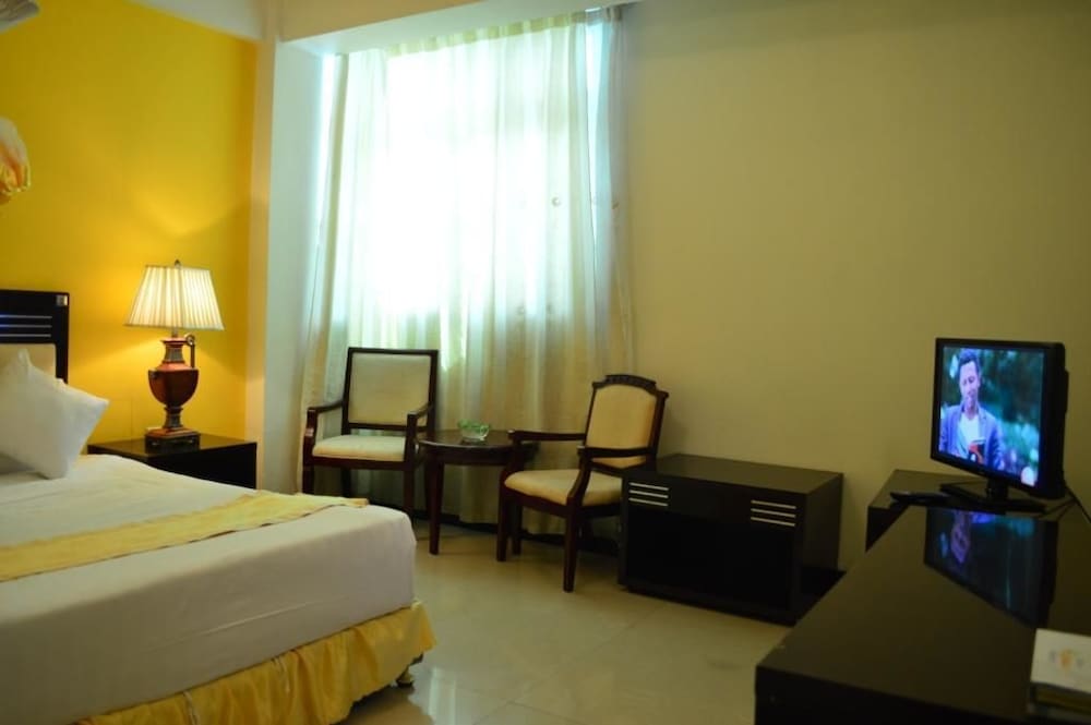 Deluxe Single Room, 1 Double Bed, Non Smoking, City View photo 3