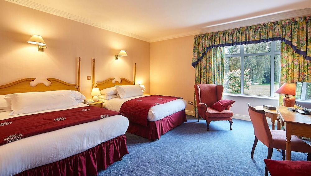 Superior Twin Room photo 1