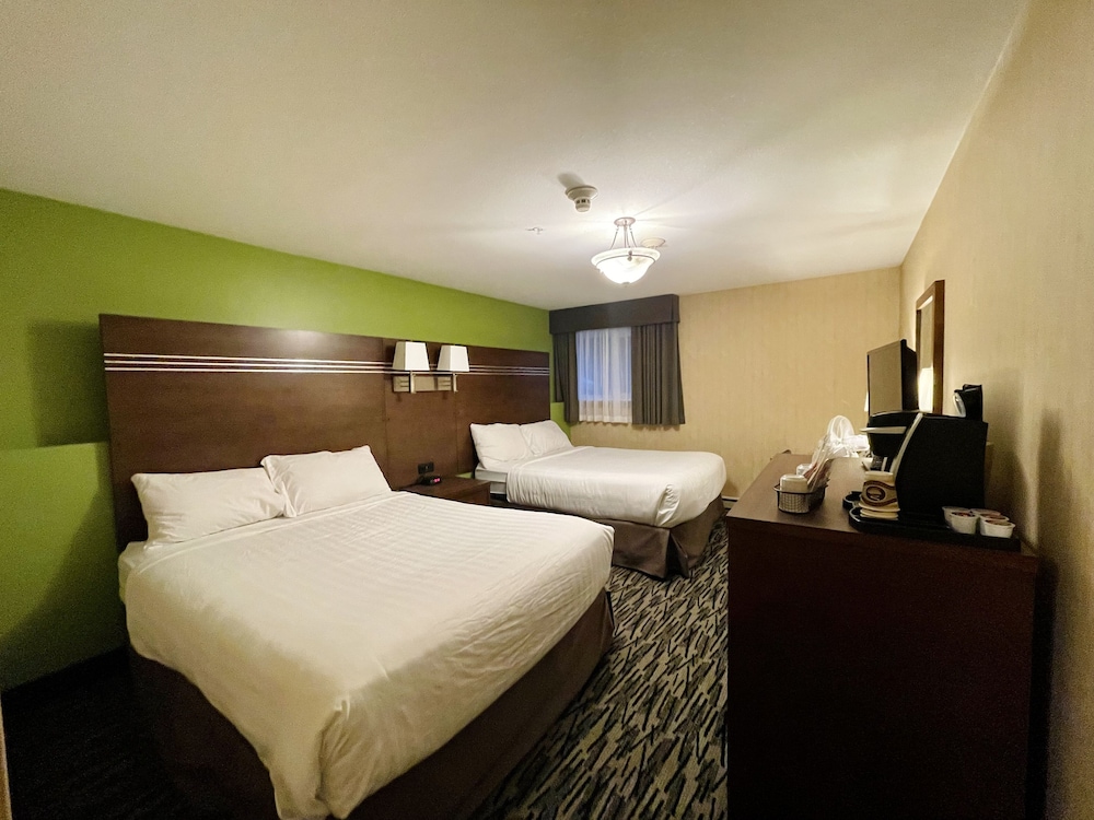 Economy room (pet friendly) 2 queen bed - in basement-No Patio photo 1