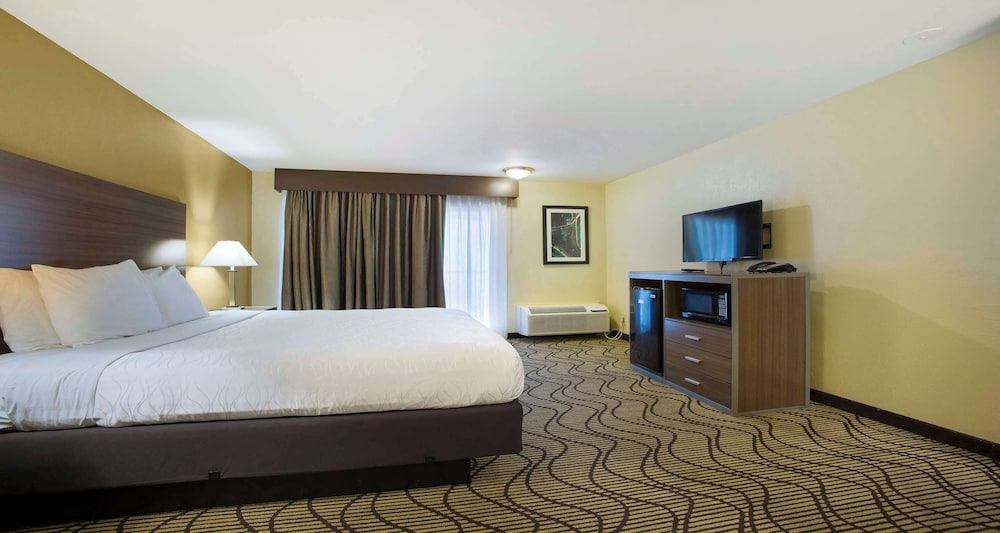 Standard Room, 1 King Bed, Non Smoking, Refrigerator & Microwave photo 1