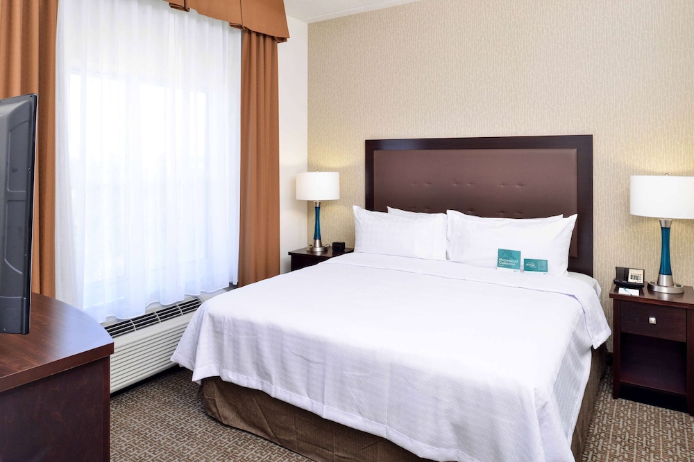 Suite, 1 King Bed, Accessible, Bathtub photo 2
