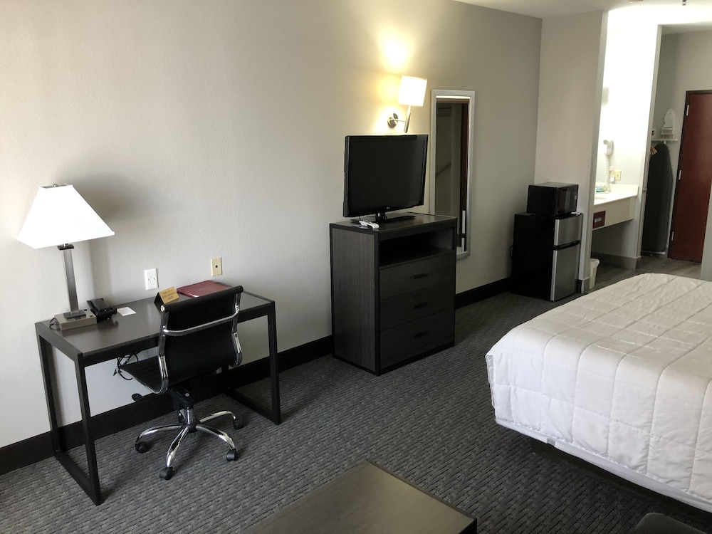 Standard Single Room, 1 King Bed photo 3