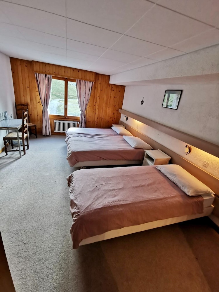 Basic Triple Room