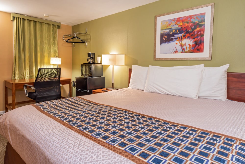 Single Room, 1 King Bed photo 2