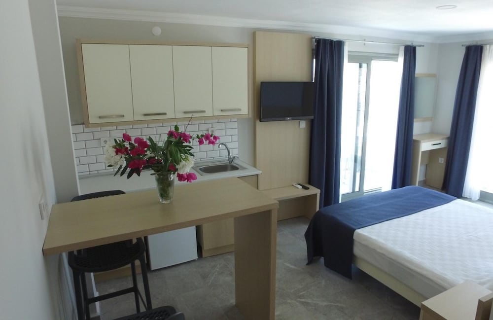 Panoramic Studio